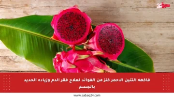فاكهة التنين الأحمر كنز من الفوائد لعلاج فقر الدم وزيادة الحديد بالجسم
